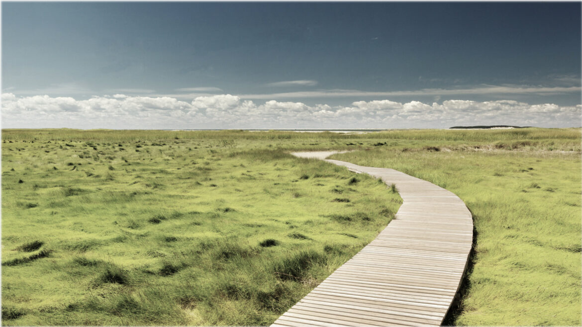 „Walk & Talk – achtsame Gespräche für mehr innere Balance.“